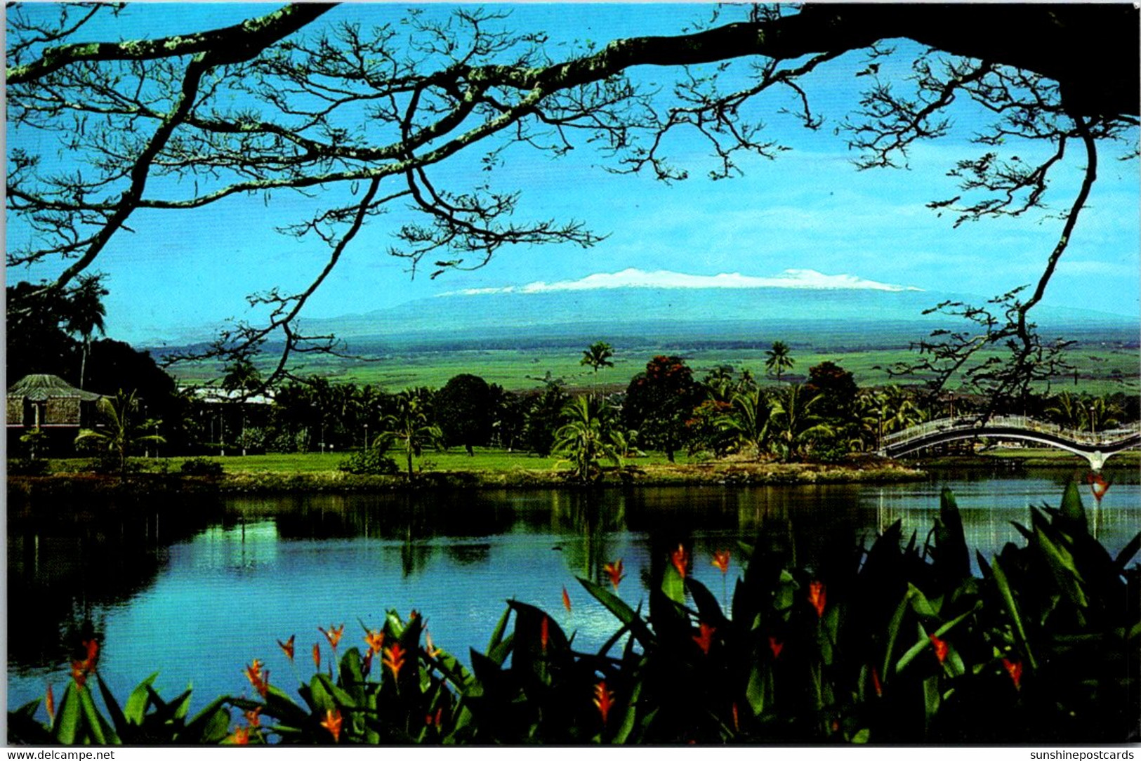 Hawaii Hilo Snowcapped Mauna Kea Seen From Lillukalani Park Across From Hilo Lagoon - Hilo