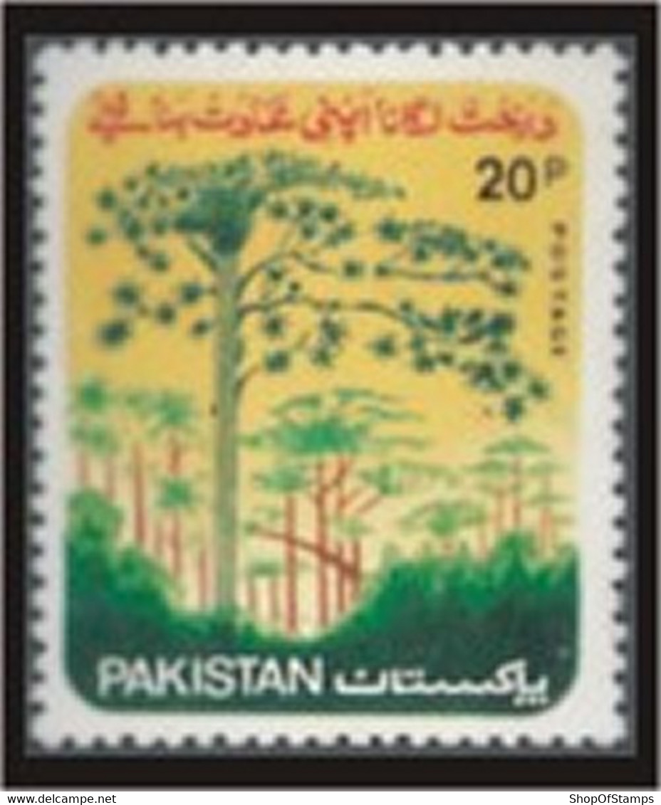 PAKISTAN SG 441 TREE PLANTATION - Pakistan