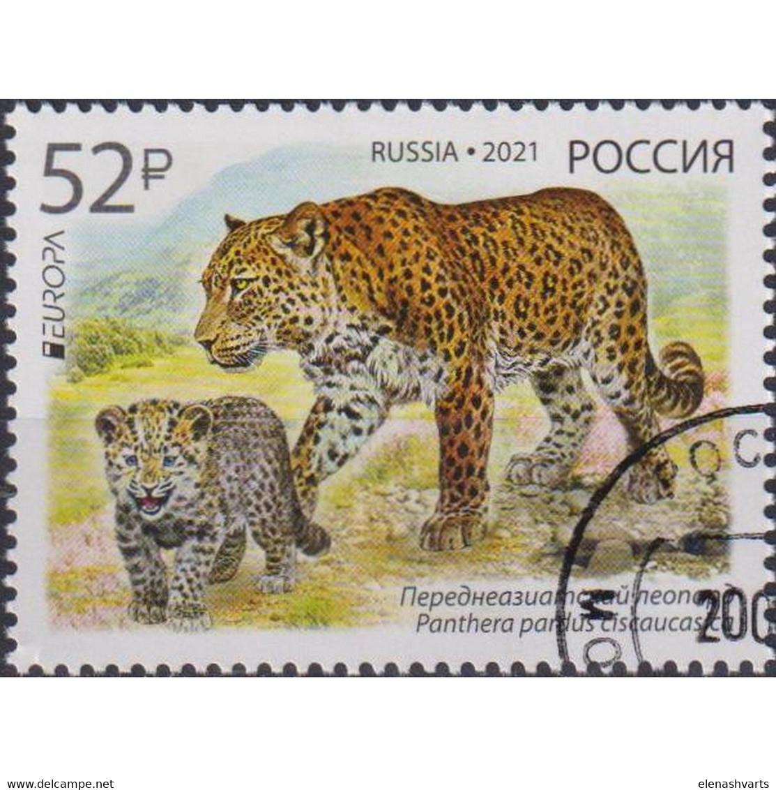 &#128681; Discount - Russia 2021 Endangered Species Of Animals - Central Asian Leopard  (U)  - Cats, Leopards - Gebruikt