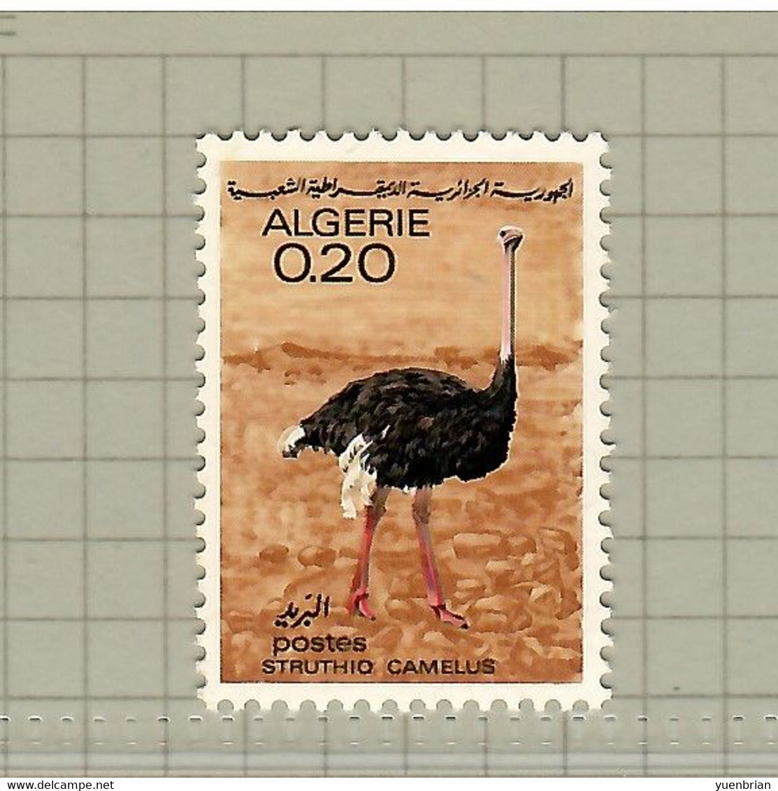 Algeria 1967, Bird, Birds, 1v, (Break From Set Of 4v), MNH** - Struzzi