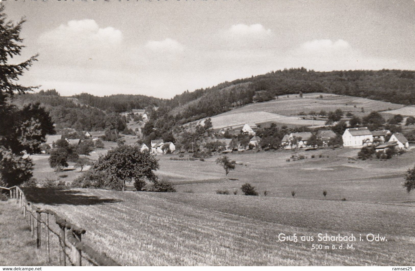 (219)   CP.  Scharbach - Rheingau