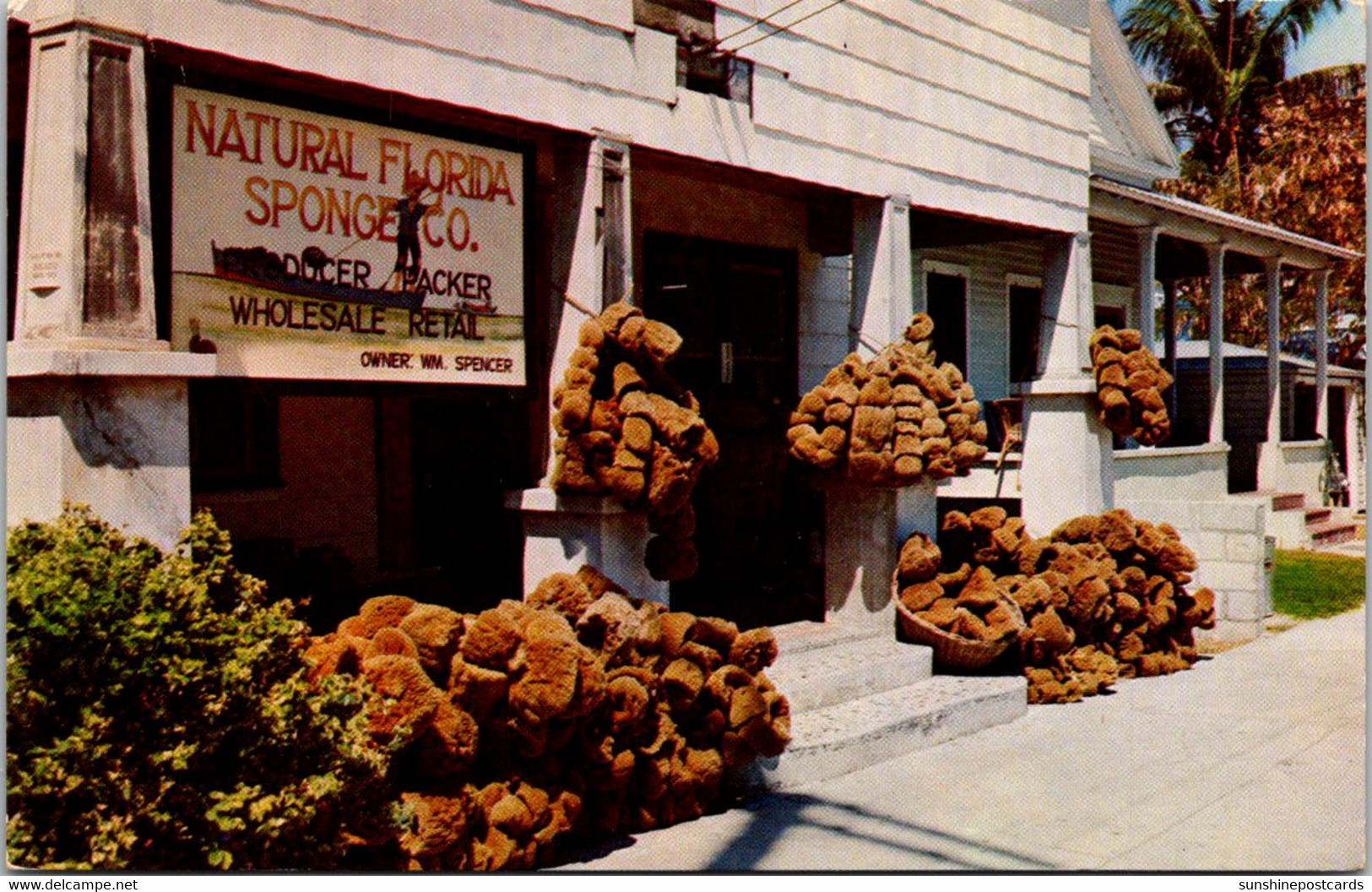 Florida Key West Natural Florida Sponge Company Shop - Key West & The Keys