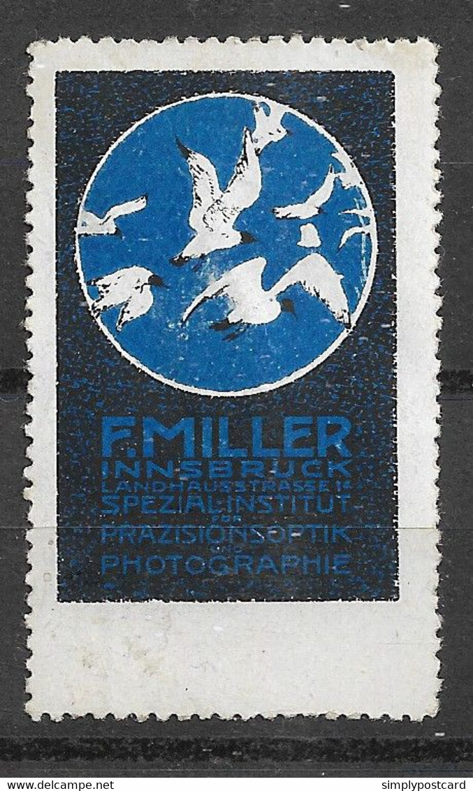 REKLAMMARKE - AUSTRIA - F. MILLER INNSBRUCK PHOTOGRAPHIE - B2 - Vignetten (Erinnophilie)