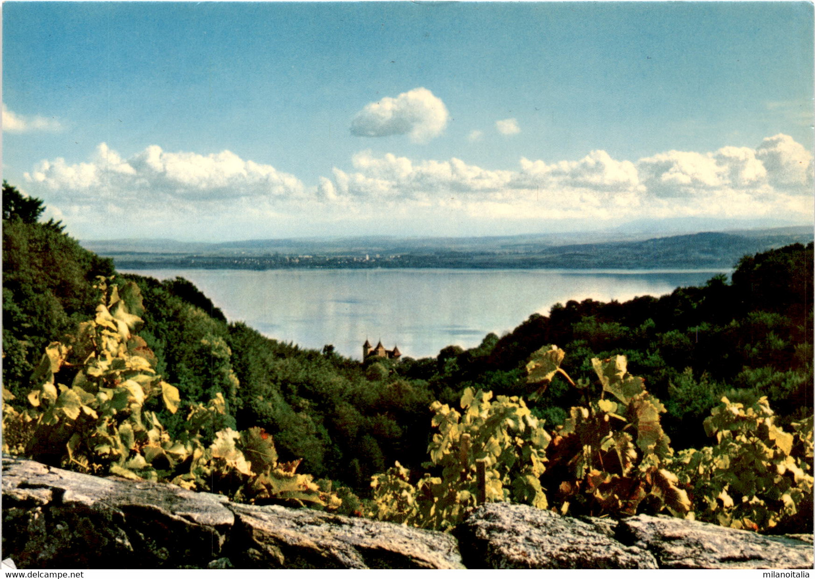 Vallon De La Vaux Et Chateau De Vaumarcus - Vaumarcus