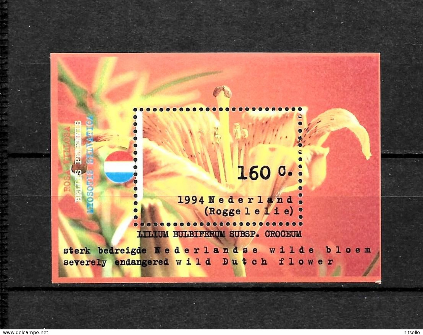 LOTE 2232  ///  HOLANDA   YVERT HB Nº: 40  **MNH   CATALG/COTE: 4,50€  ¡¡¡ OFERTA - LIQUIDATION - JE LIQUIDE !!! - Blocchi