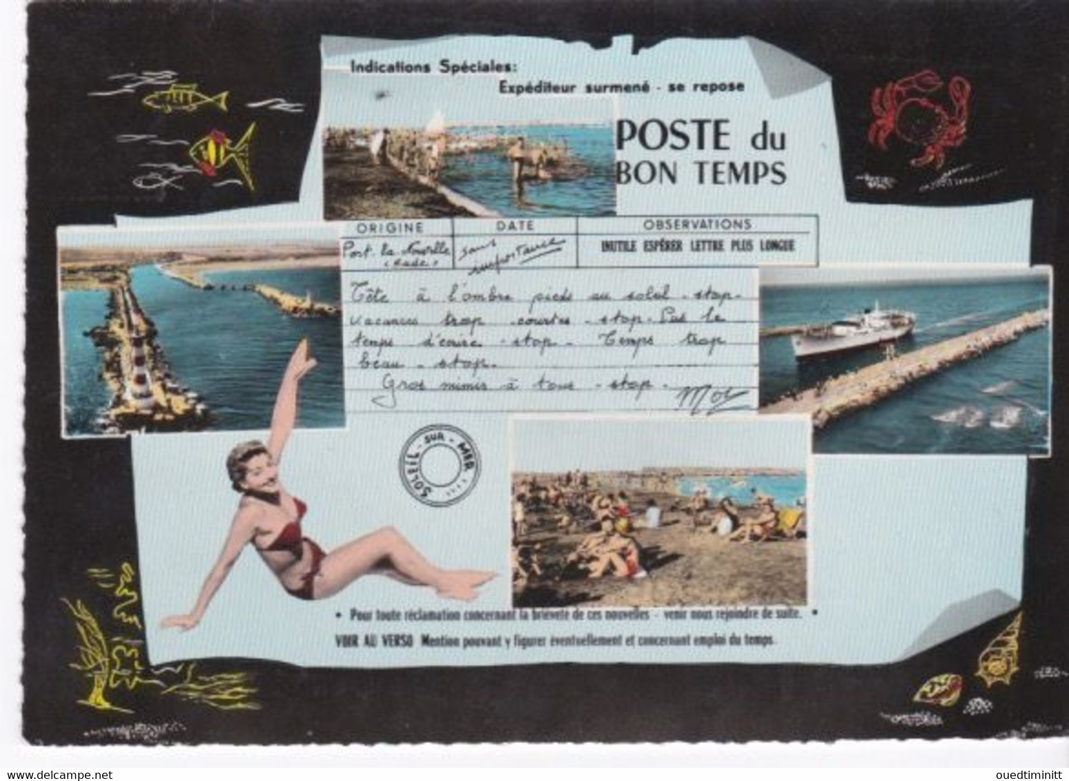 Belle Cpsm Dentelée Grand Format. Carte Fantaisie, Télégramme, Pin Up, Port La Nouvelle. - Postal Services