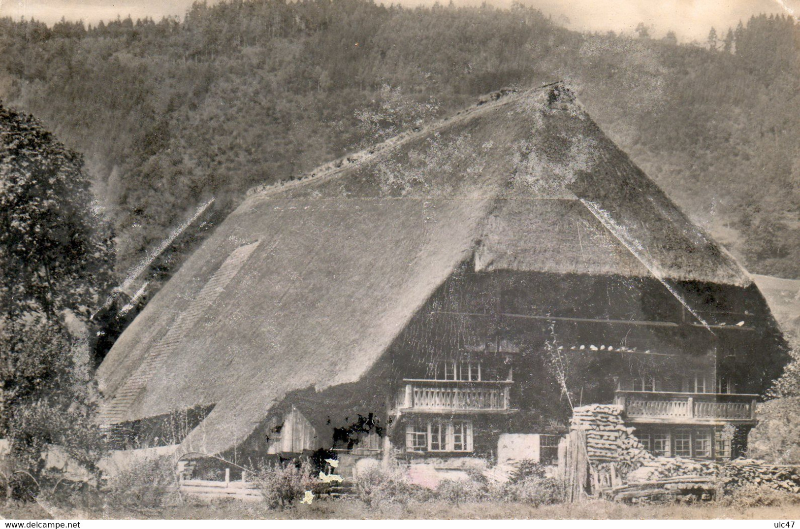 - BAD GRIESBACH. Im Schwarzwald - Scan Verso - - Bad Peterstal-Griesbach