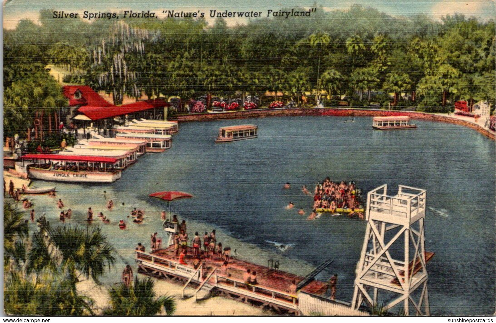 Florida Silver Springs Panoramic View Of "Nature's Un Derwater Fairyland" Curteich - Silver Springs