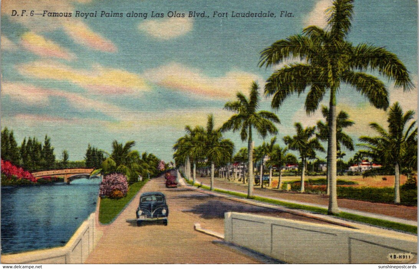 Florida Fort Lauderdale Famous Royal Palms Along Las Olas Boulevard 1955 Curteich - Fort Lauderdale