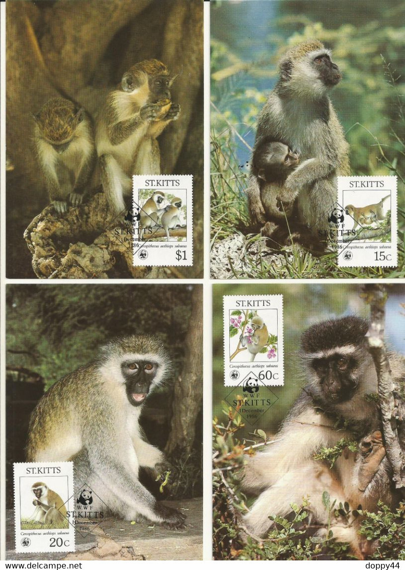 LOT 4 CARTES MAXIMUM  WWF  ST KITTS  LE SINGE VERT / GREEN MONKEY. - Tarjetas – Máxima