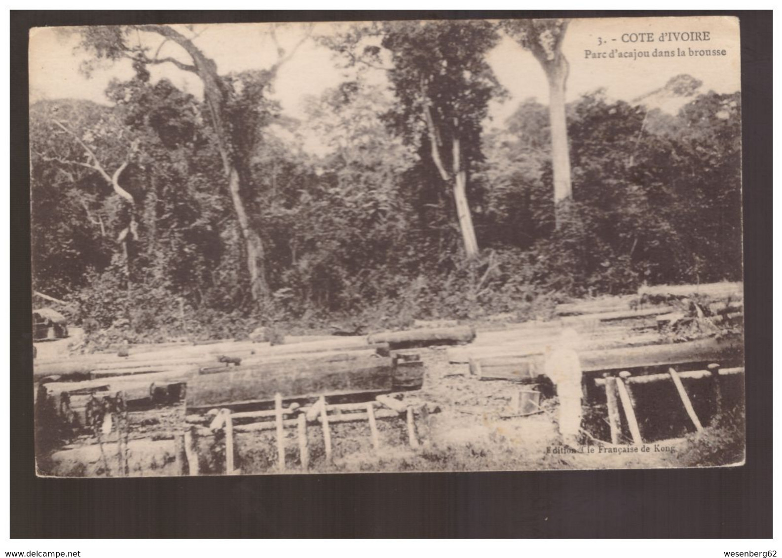 Cote D'Ivoire Parc D'Acajou Dans La Brousse Ca 1910 - Côte-d'Ivoire