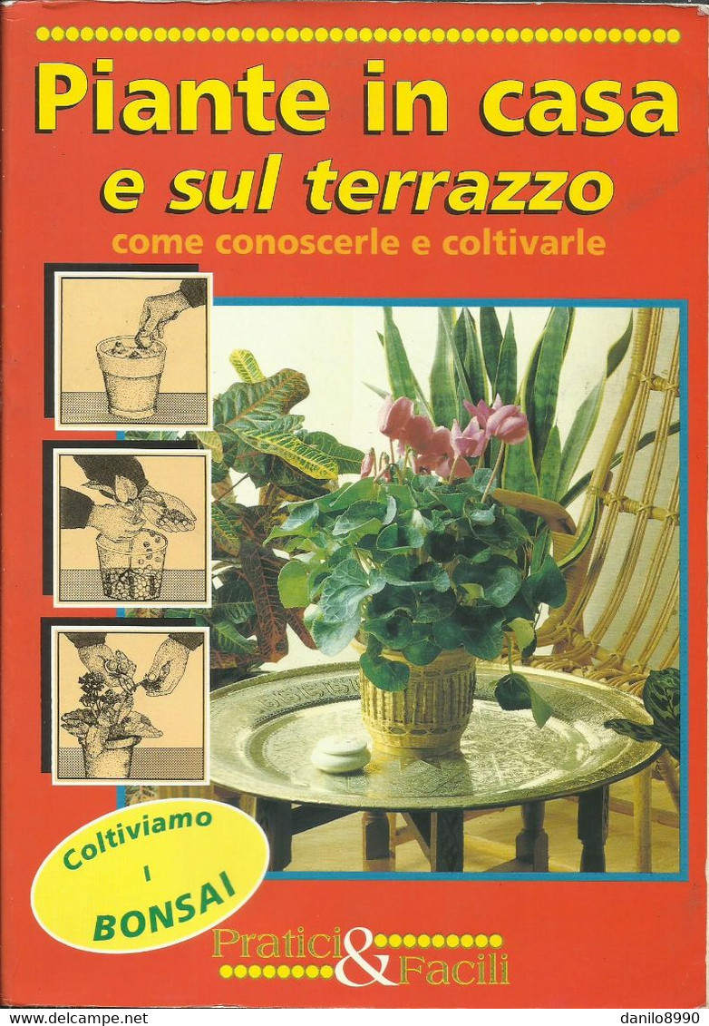 PIETRO PAOLO GELIO - Piante In Casa E Sul Terrazzo. - Jardinería