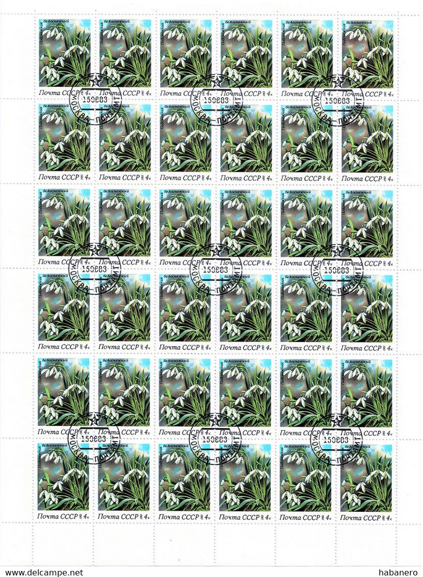USSR 1983 Mi 5278 SNOWDROPS FLOWERS FULL SHEET 36 STAMPS - Full Sheets
