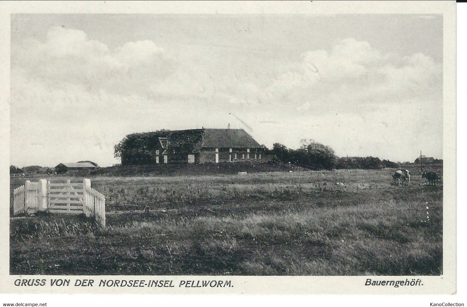 Gruß Von Der Nordseeinsel Pellworm,  Rückseite Beschrieben - Nordfriesland