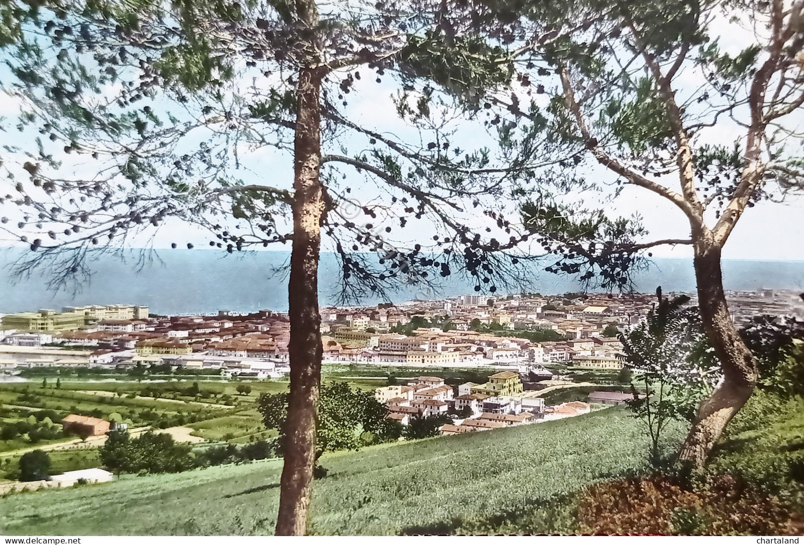 Cartolina - Pesaro - Panorama - 1963 - Pesaro
