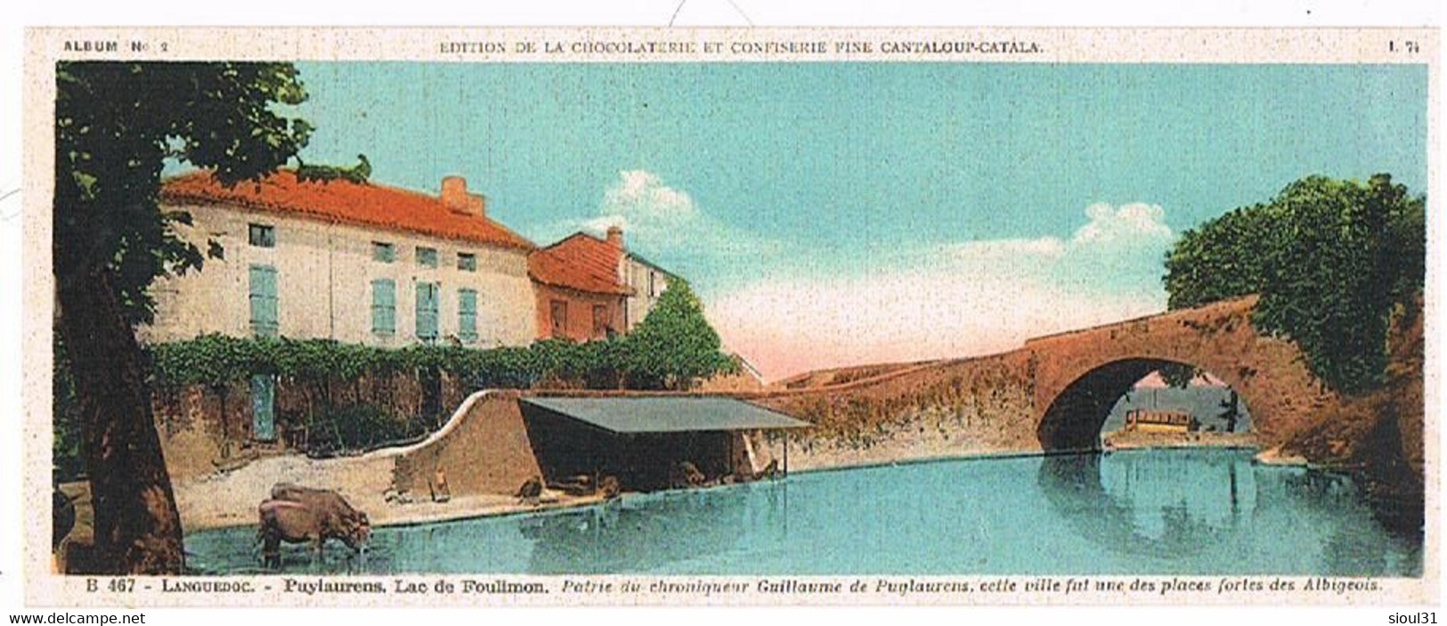 81  PUYLAURENS    LAC  DE FOULIMON    CARTE 230X93 TBE 555 - Puylaurens