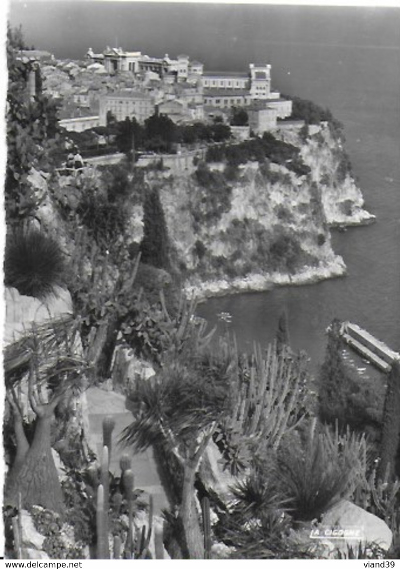 Le Rocher Vu Du Jardin Exotique - Giardino Esotico