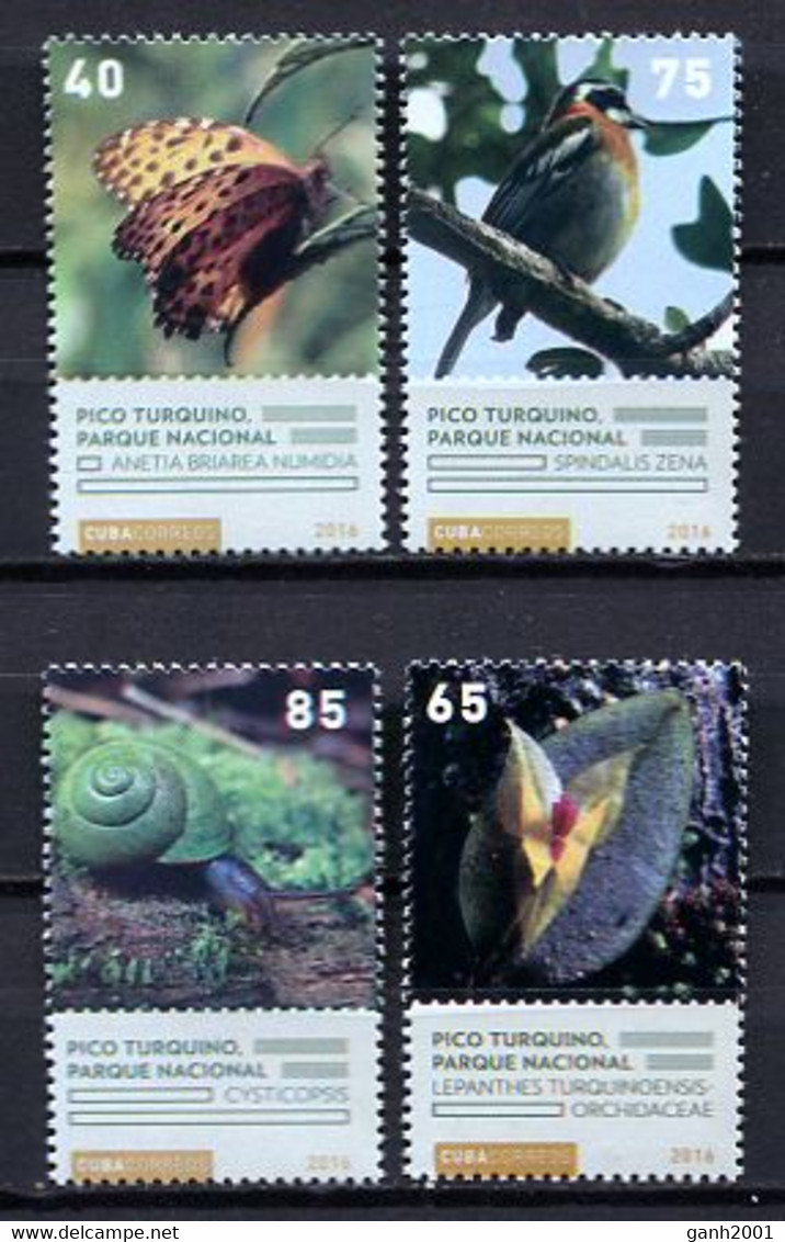 Cuba 2016 / Bird Butterfly Snail Flower MNH Pajaro Mariposa Caracol Vögel Blumen / Cu2803  34-16 - Other & Unclassified