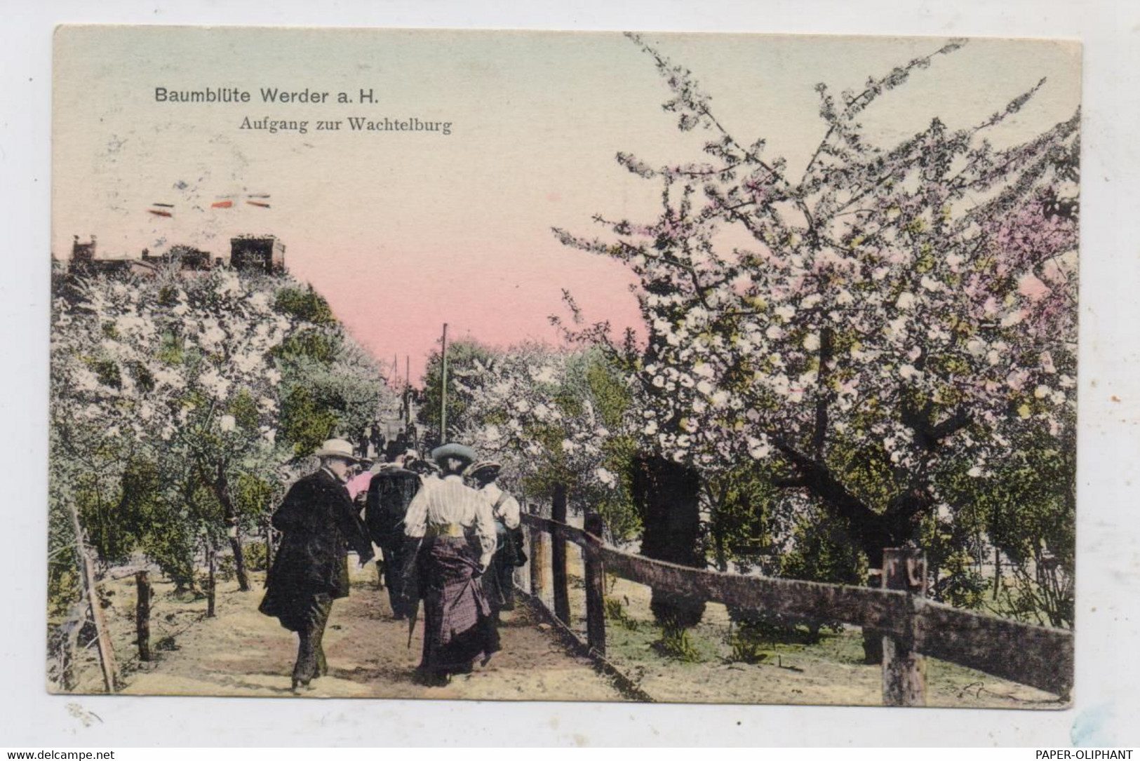 0-1512 WERDER / Havel, Aufgang Zur Wachtelburg, 1909 - Werder