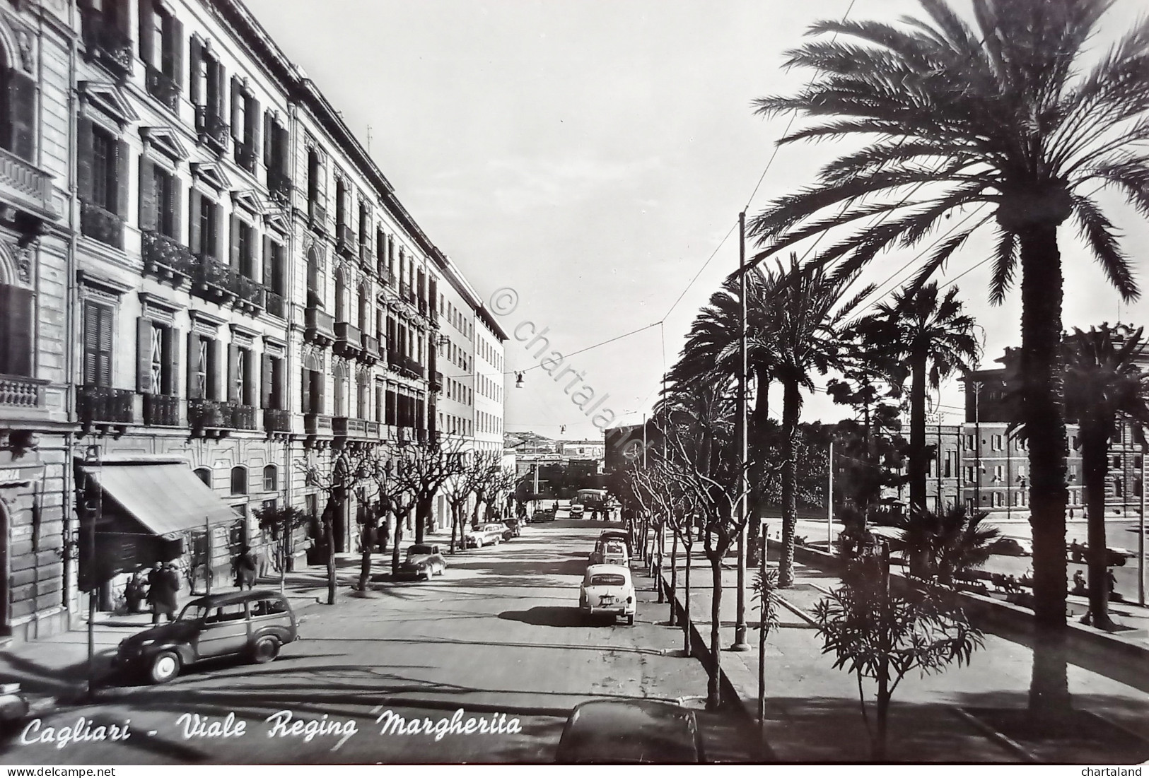 Cartolina - Cagliari ( Sardegna ) - Viale Regina Margherita - 1956 - Cagliari