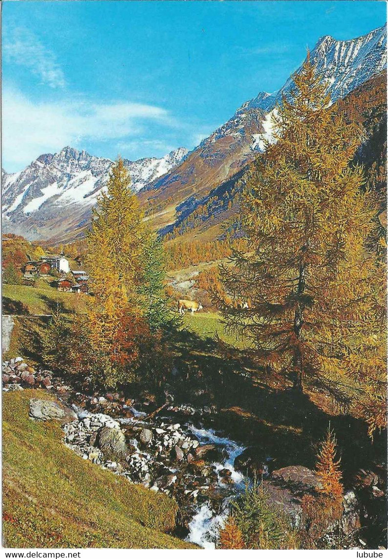 Eisten - Herbstliches Lötschental          Ca. 1980 - Eisten