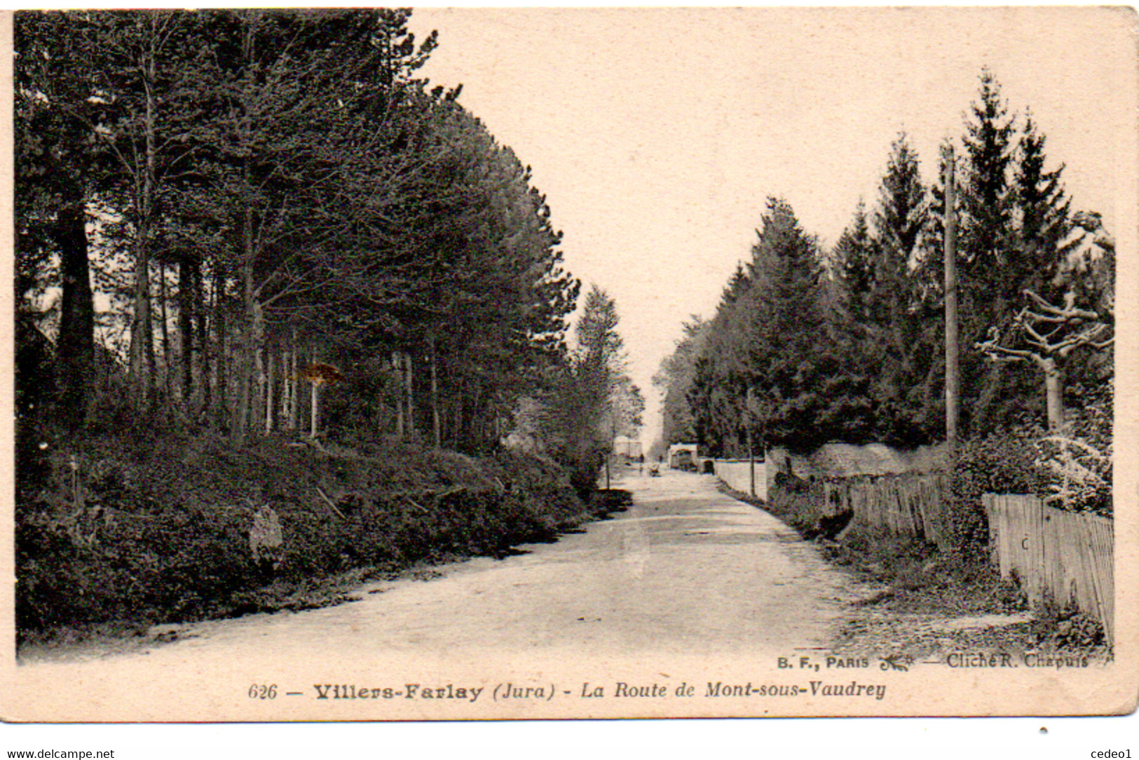 VILLERS FARLAY  LA ROUTE DE MONT SOUS VAUDREY - Villers Farlay