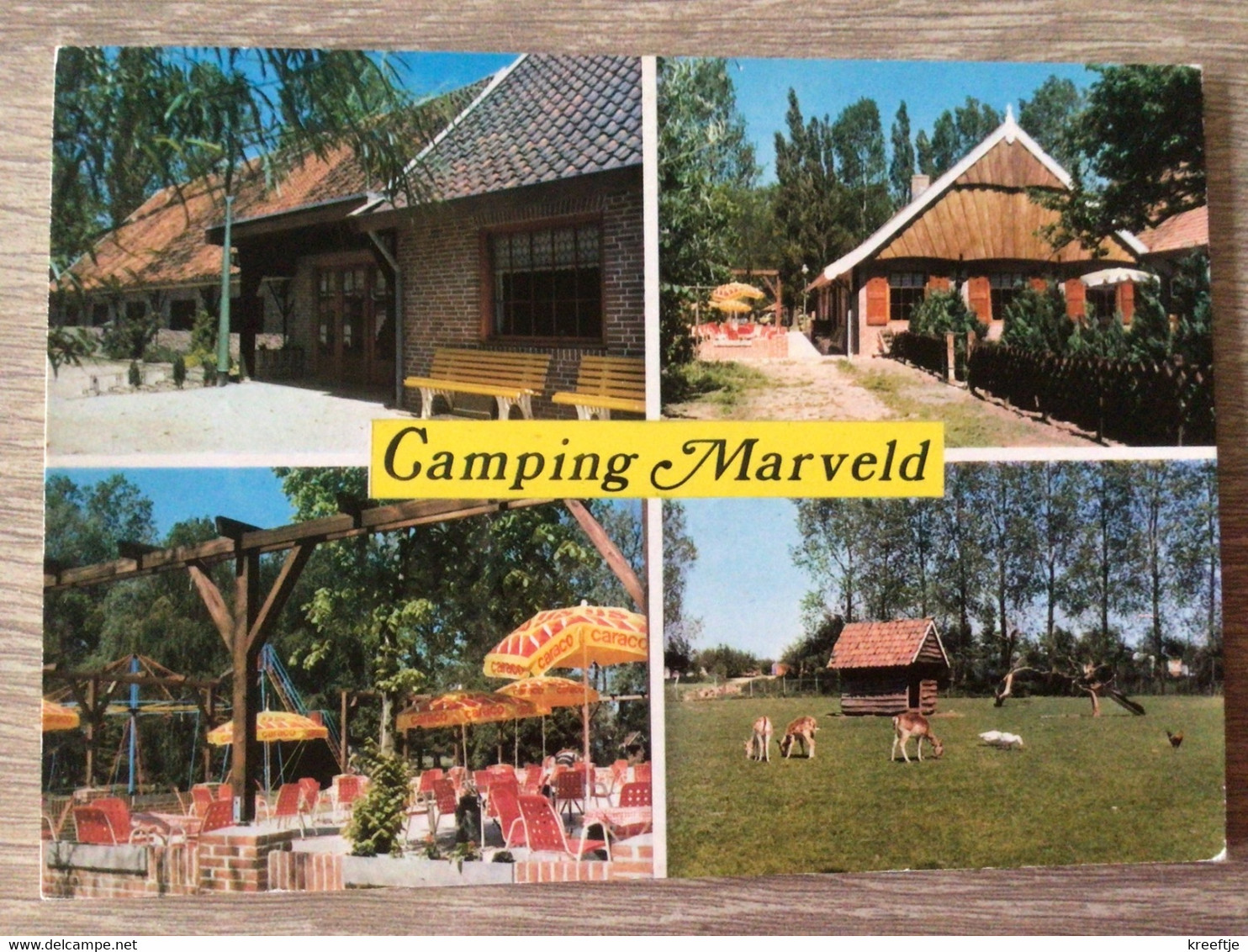 Nederland Groenlo . Camping Farm Marveld 1980 - Groenlo