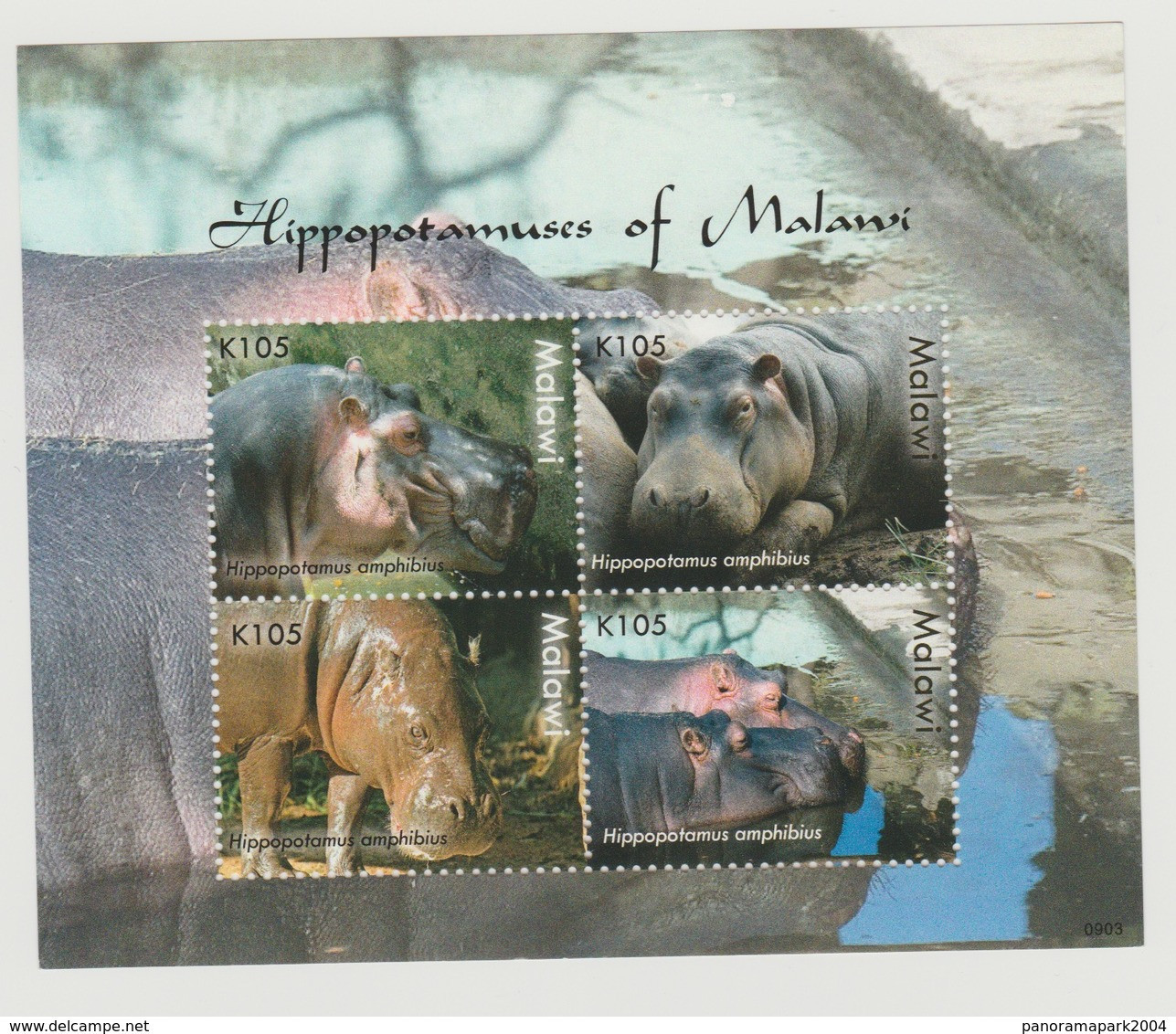 Malawi 2009 Hippopotamus Hippopotame Nilpferd Fauna Fauna Souvenir Sheet Bloc Block MNH** - Autres & Non Classés
