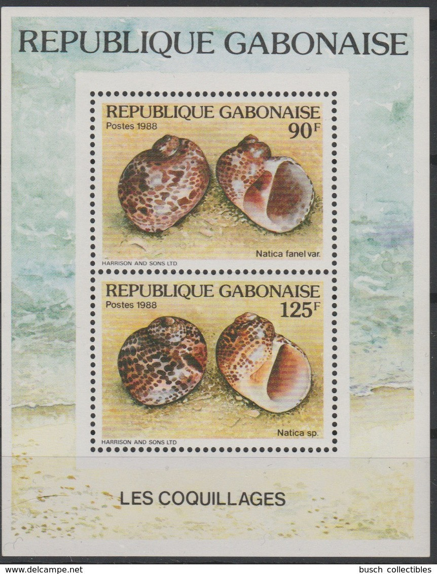 Gabon Gabun 1988 Mi. Bl. A60 Les Coquillages Shells Meeresschnecken RARE ! - Muscheln