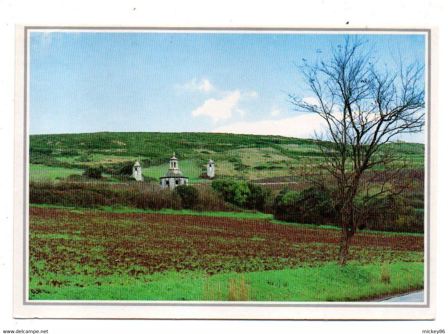 Portugal -- CARNAXIDE  -- 1999--- Maes De Agua ..........vignette FRANQUIA ....cachet..............à Saisir - Lisboa