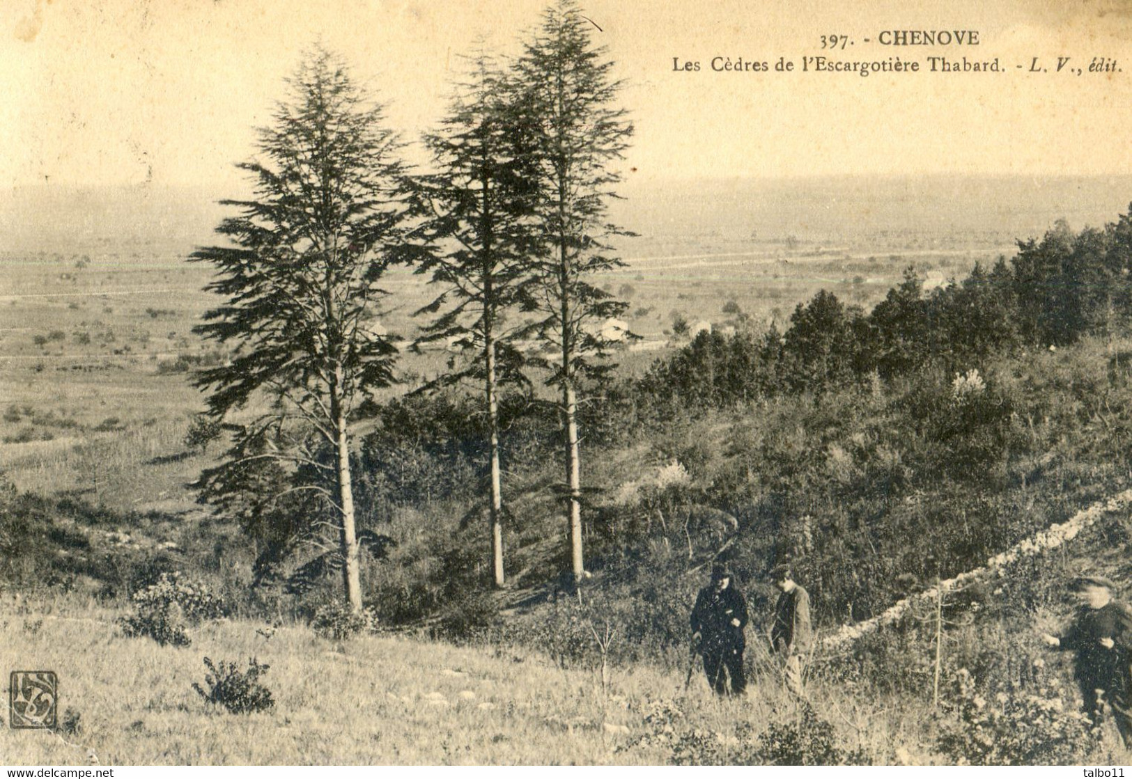 21 - Chenove - Les Cèdres De L'escargotière Thabard - Chenove