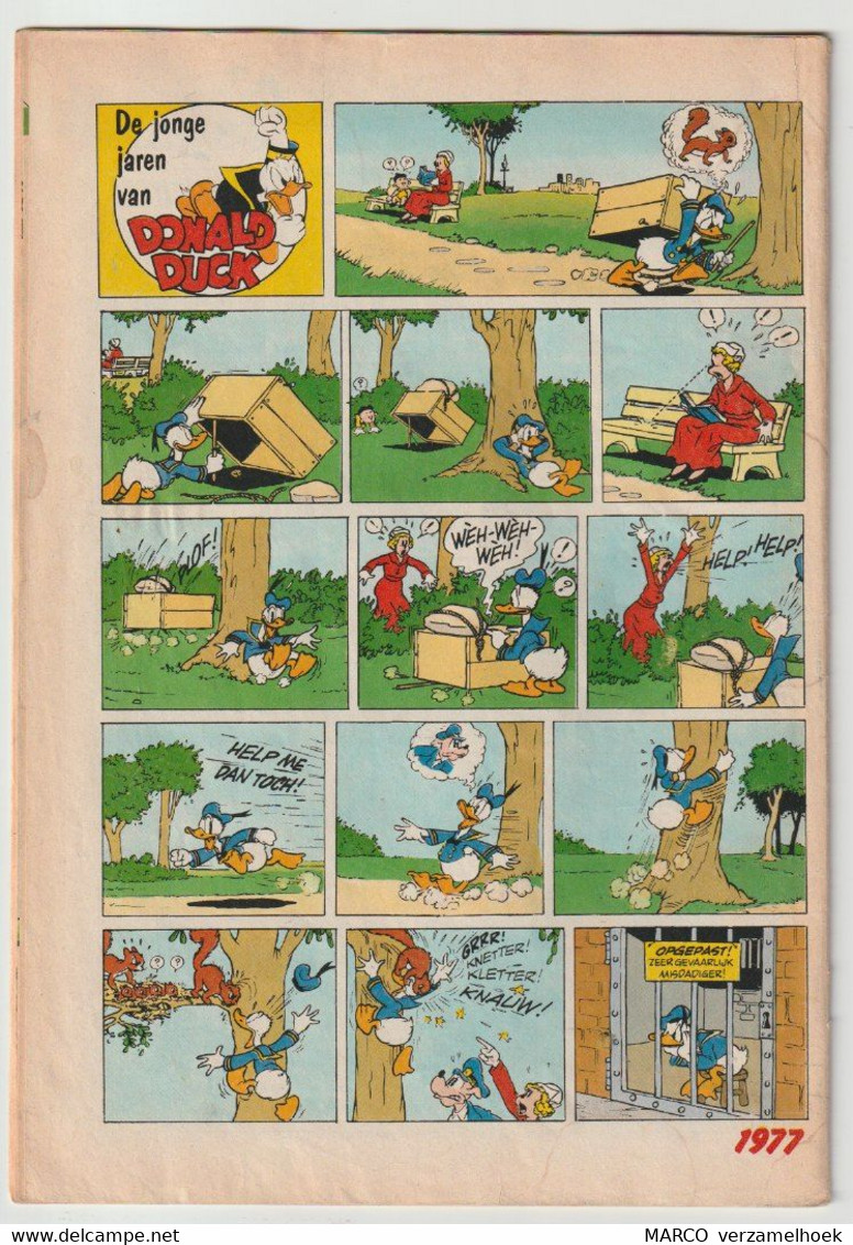 36. Strip Walt Disney's Donald Duck (NL) 1977 - Donald Duck