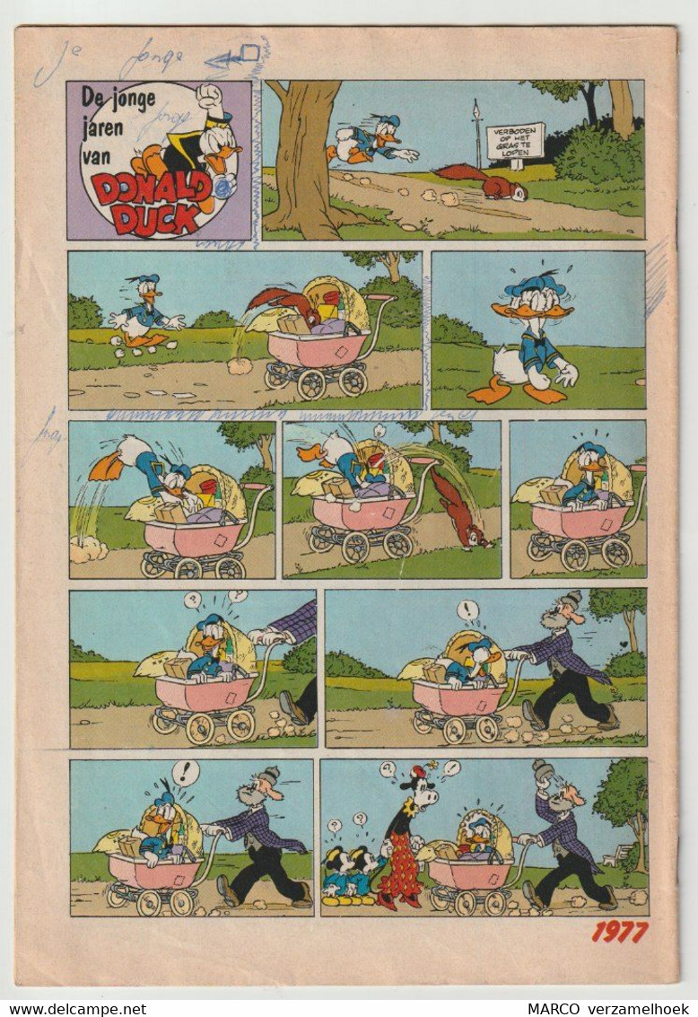 35. Strip Walt Disney's Donald Duck (NL) 1977 - Donald Duck