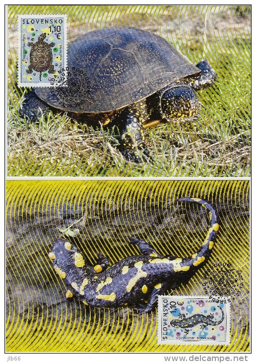 Cartes Maximum (2) 2009 Tortue Salamandre / Maximum Cards (2) Salamander Turtle - FDC