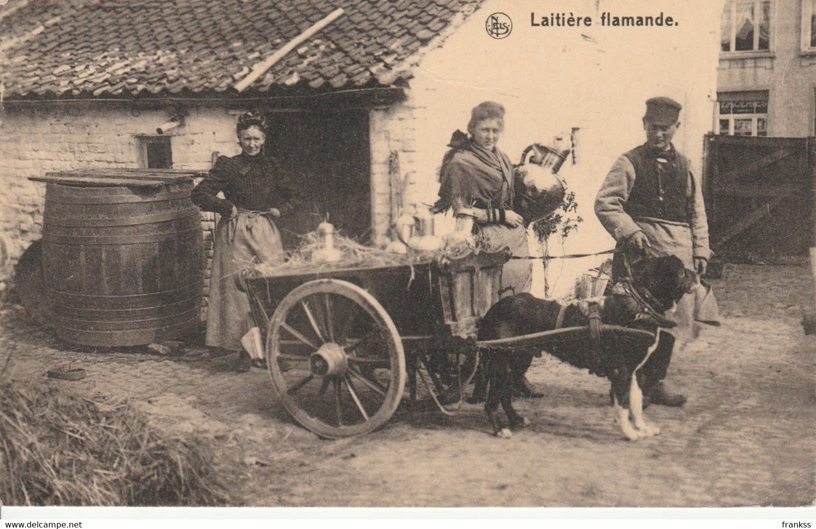 Laitière Flamande - Granja