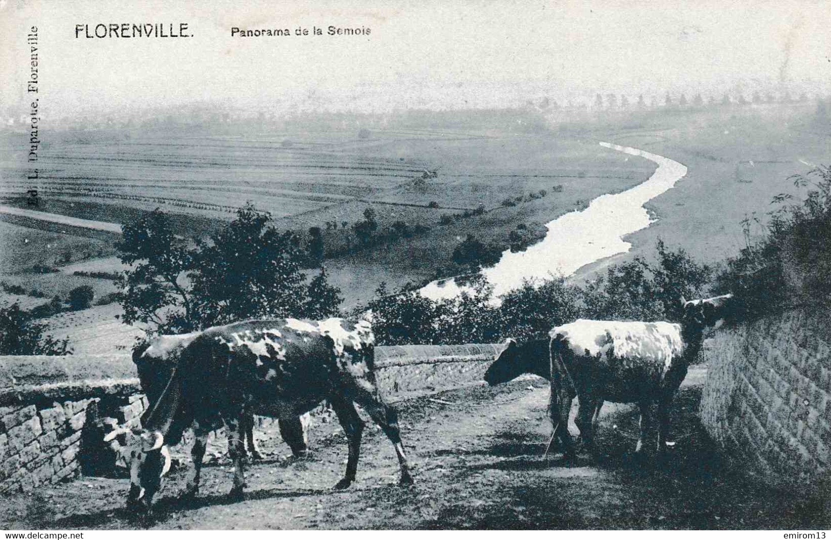 Florenville Panorama De La Semois édit L Duparque Vaches - Florenville
