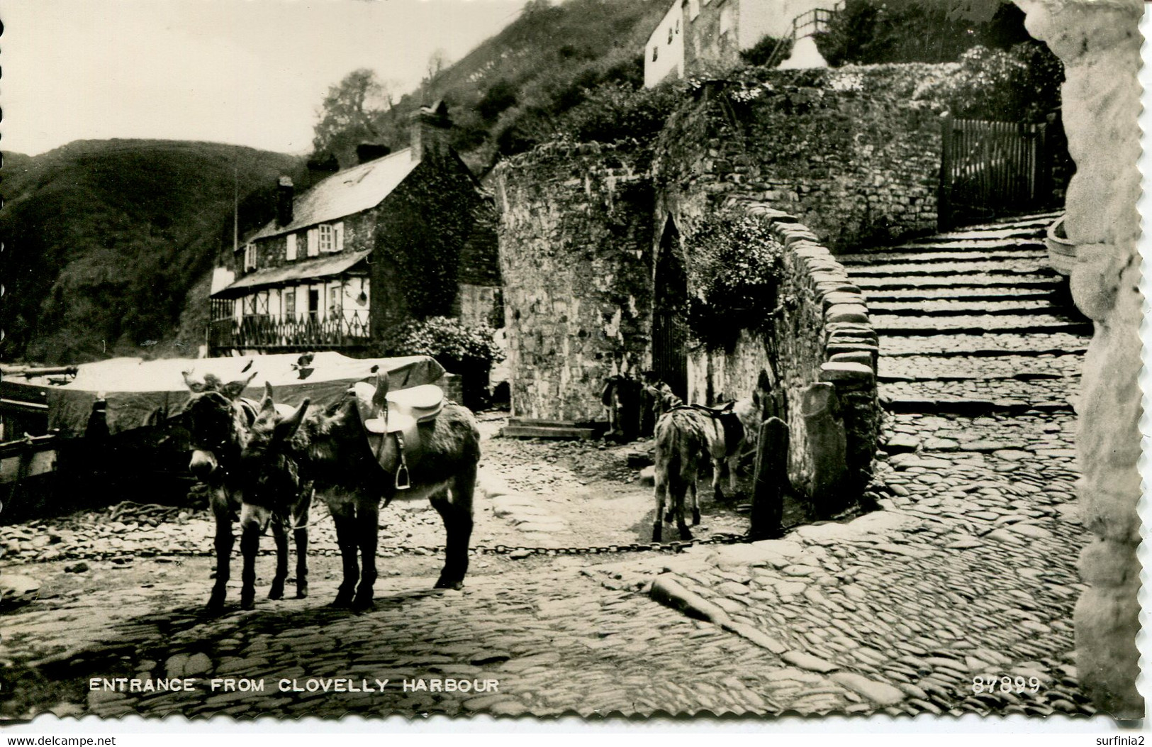 DEVON A-C - CLOVELLY - ENTRANCE FROM HARBOUR RP  Dv1248 - Clovelly