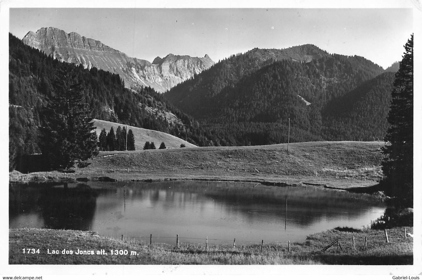 Lac Des Joncs - Les Paccots Sur Châtel-St-Denis - Autres & Non Classés