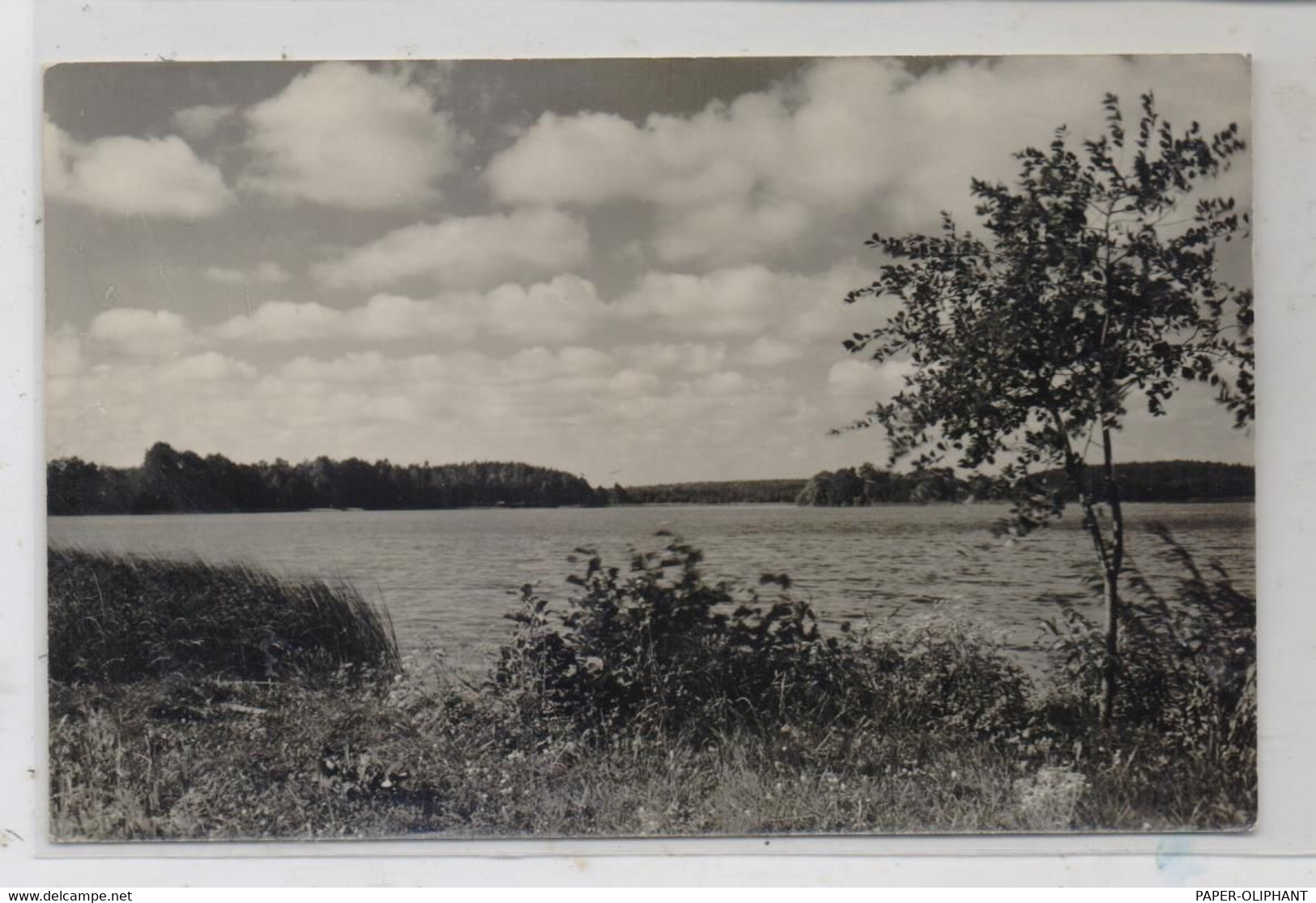 0-2081 CANOW, Am Canow-See, 1962 - Neustrelitz