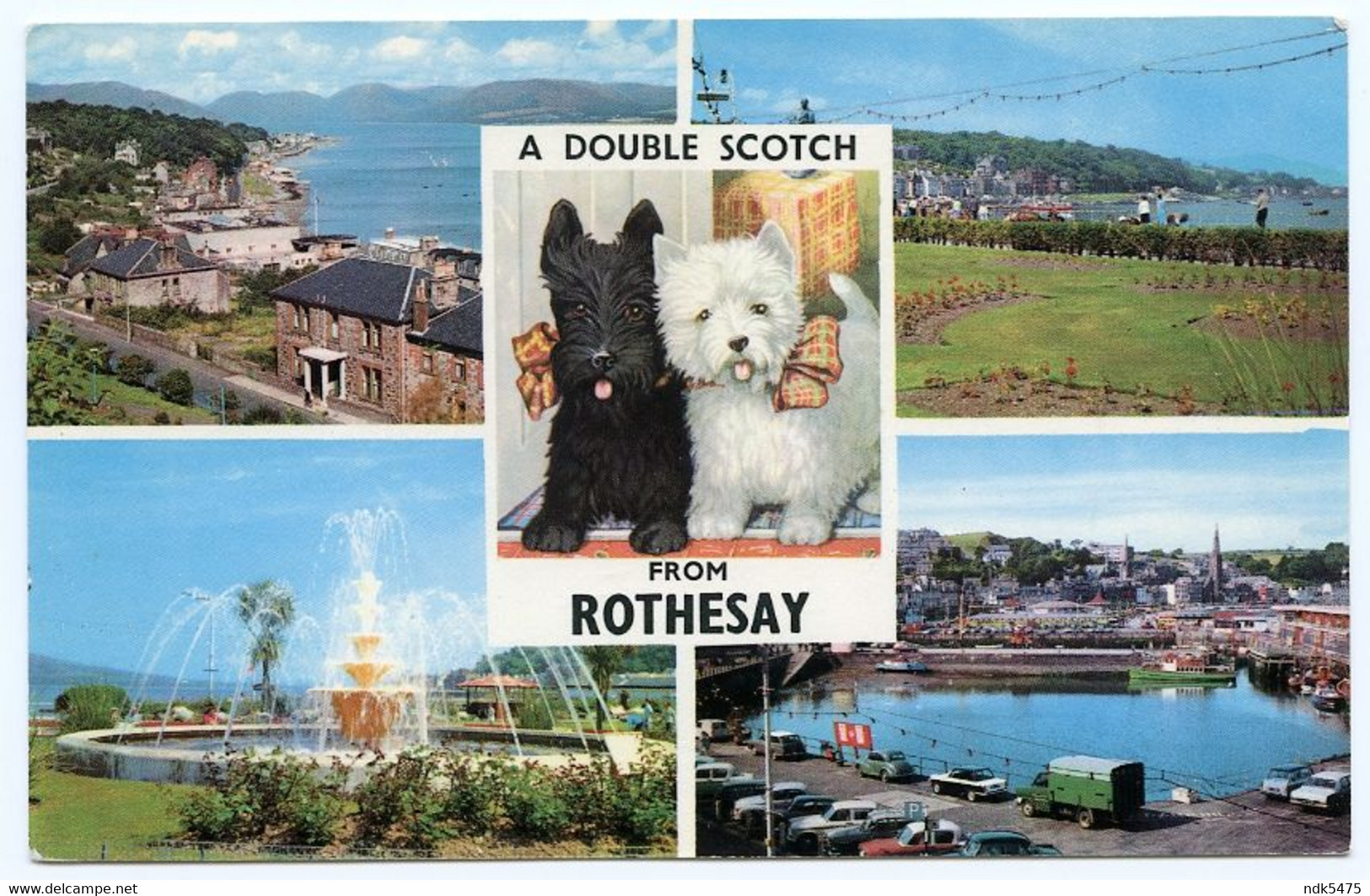 ISLE OF BUTE : A DOUBLE SCOTCH FROM ROTHESAY (MULTIVIEW - SCOTTIE DOGS) - Bute