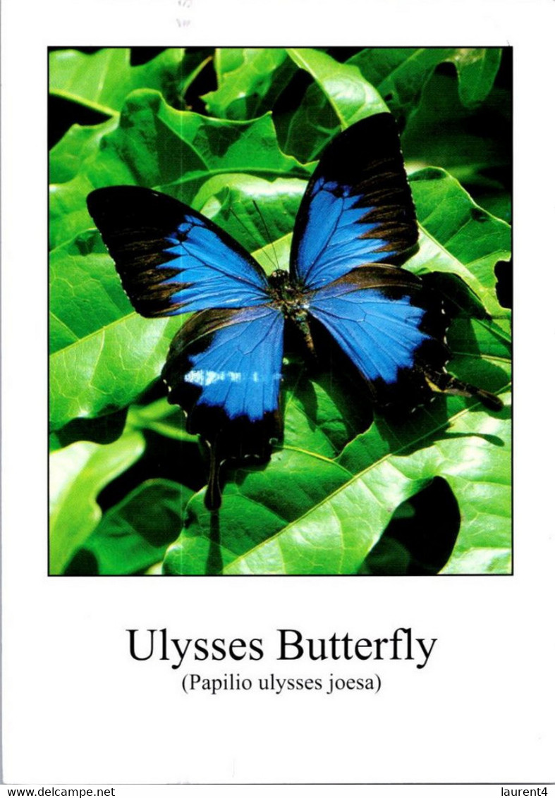 (3 F 20) Australia - QLD - Ulyssess Butterfly (with Sport Stamp) - Papillons