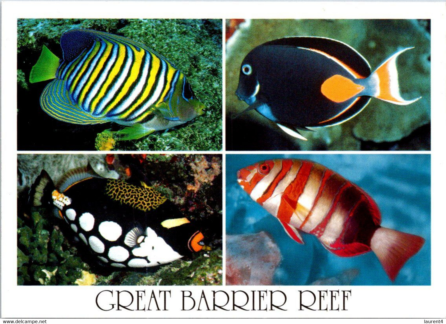(3 F 20) Australia - Bird Stamp - QLD - Great Barrrier Reef Fish - Great Barrier Reef