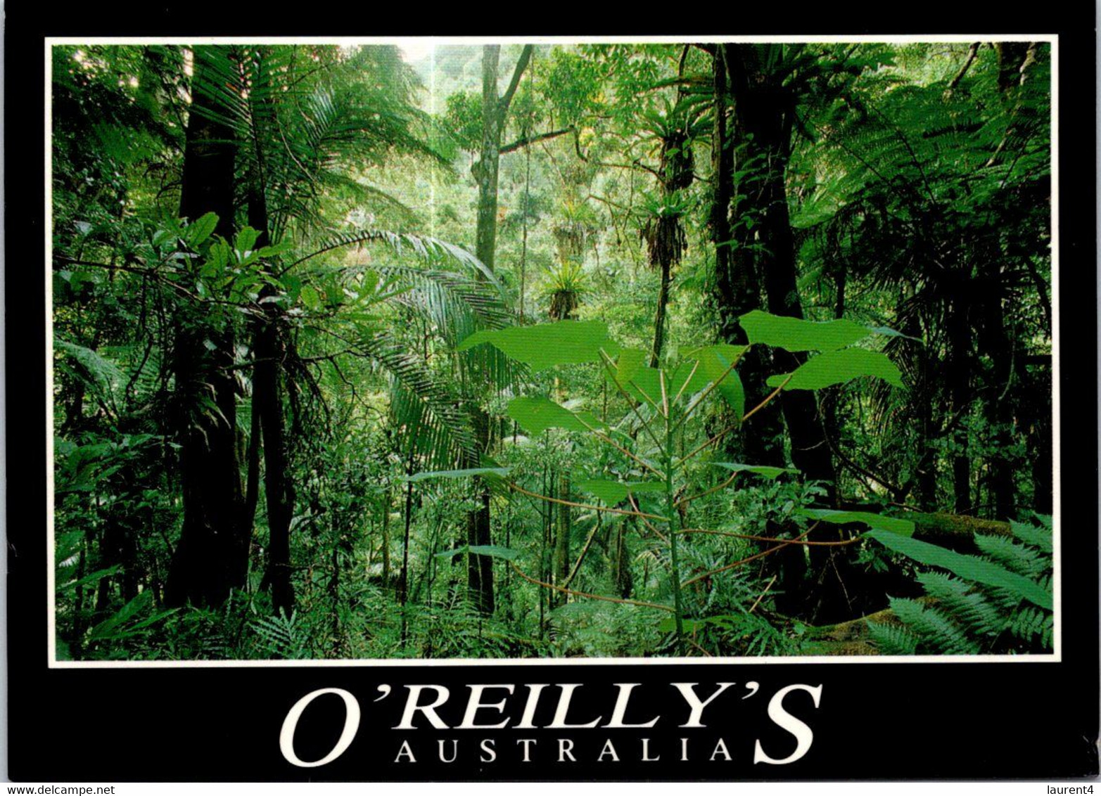 (3 F 20) Australia - QLD - O'Reilly's  (with Australian Koala Stamp) - Atherton Tablelands