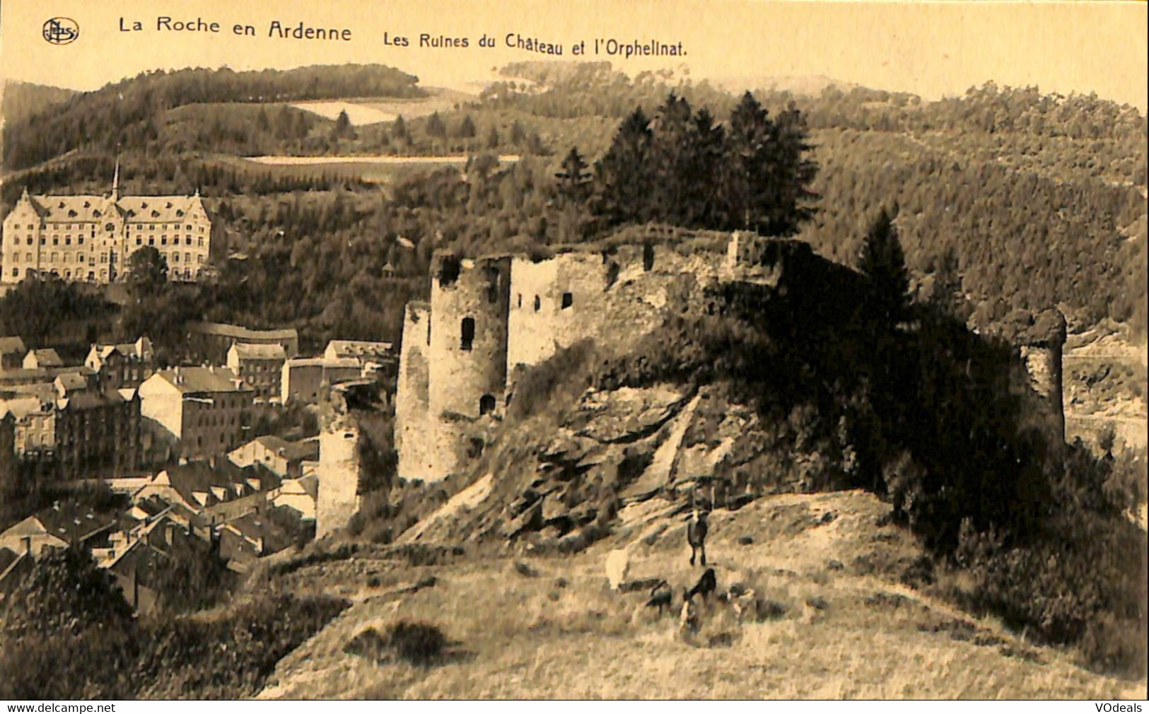 037 731 - CPA -  Belgique - La-Roche-en-Ardenne - Les Ruines Du Château Et L'Orphelinat - La-Roche-en-Ardenne