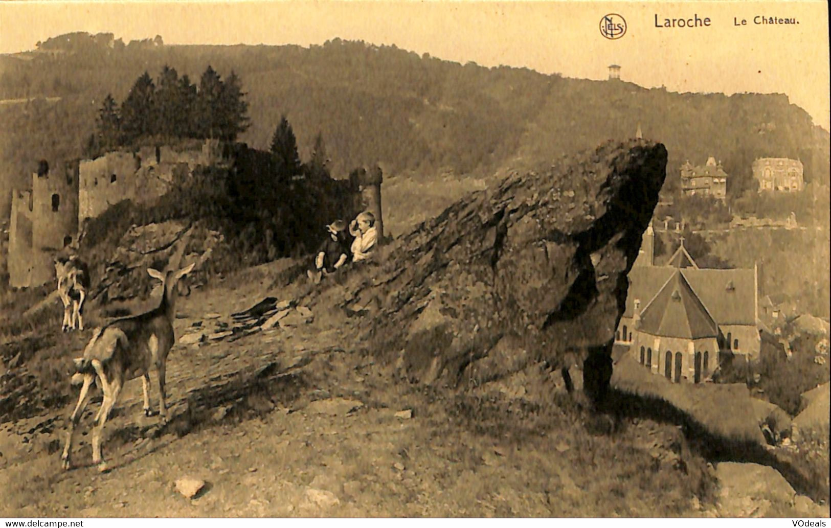 037 732 - CPA -  Belgique - La-Roche-en-Ardenne - Laroche - Le Château - La-Roche-en-Ardenne