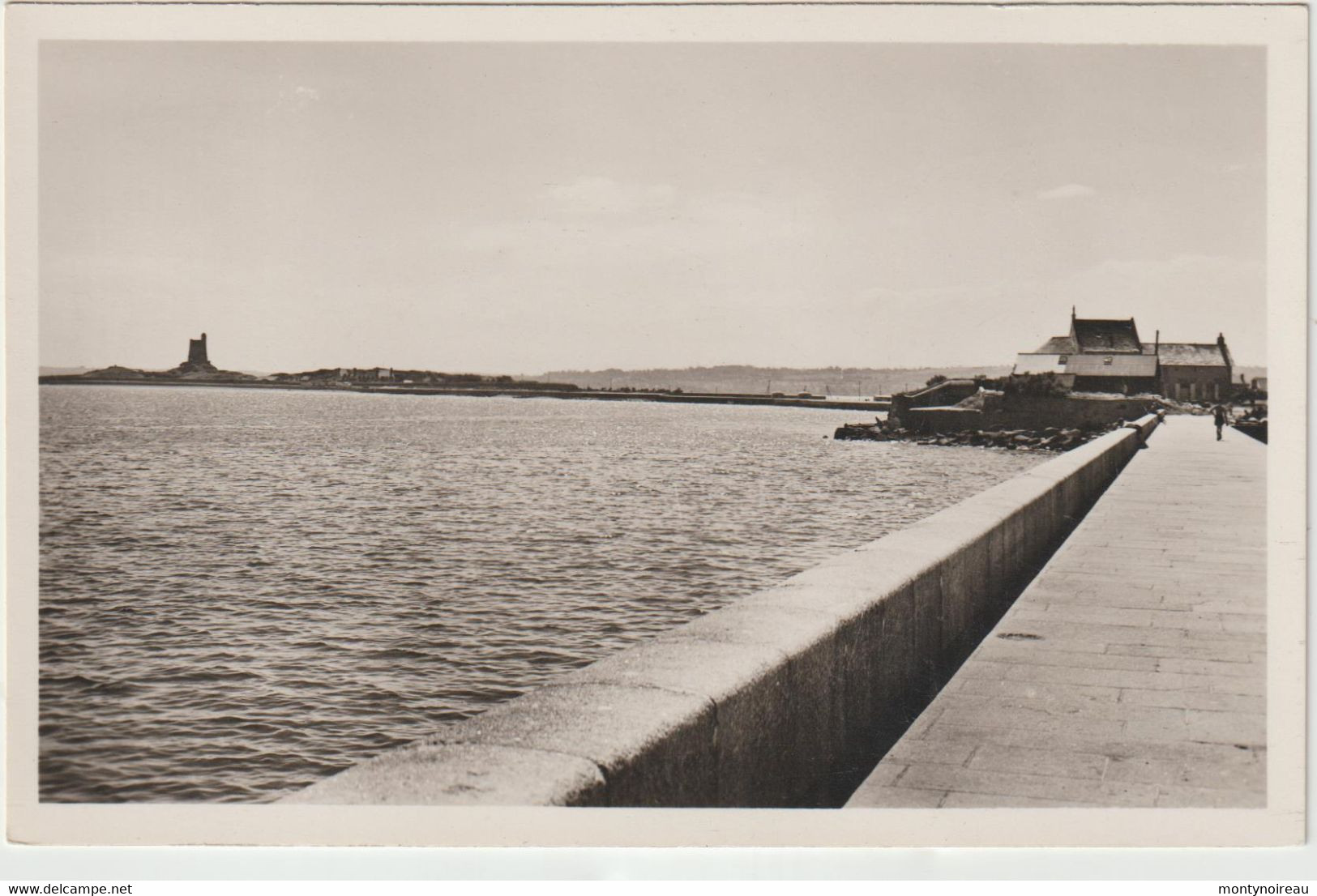 Manche : SAINT VAAST  La  HOUGUE : La  Hougue Au Loin - Saint Vaast La Hougue