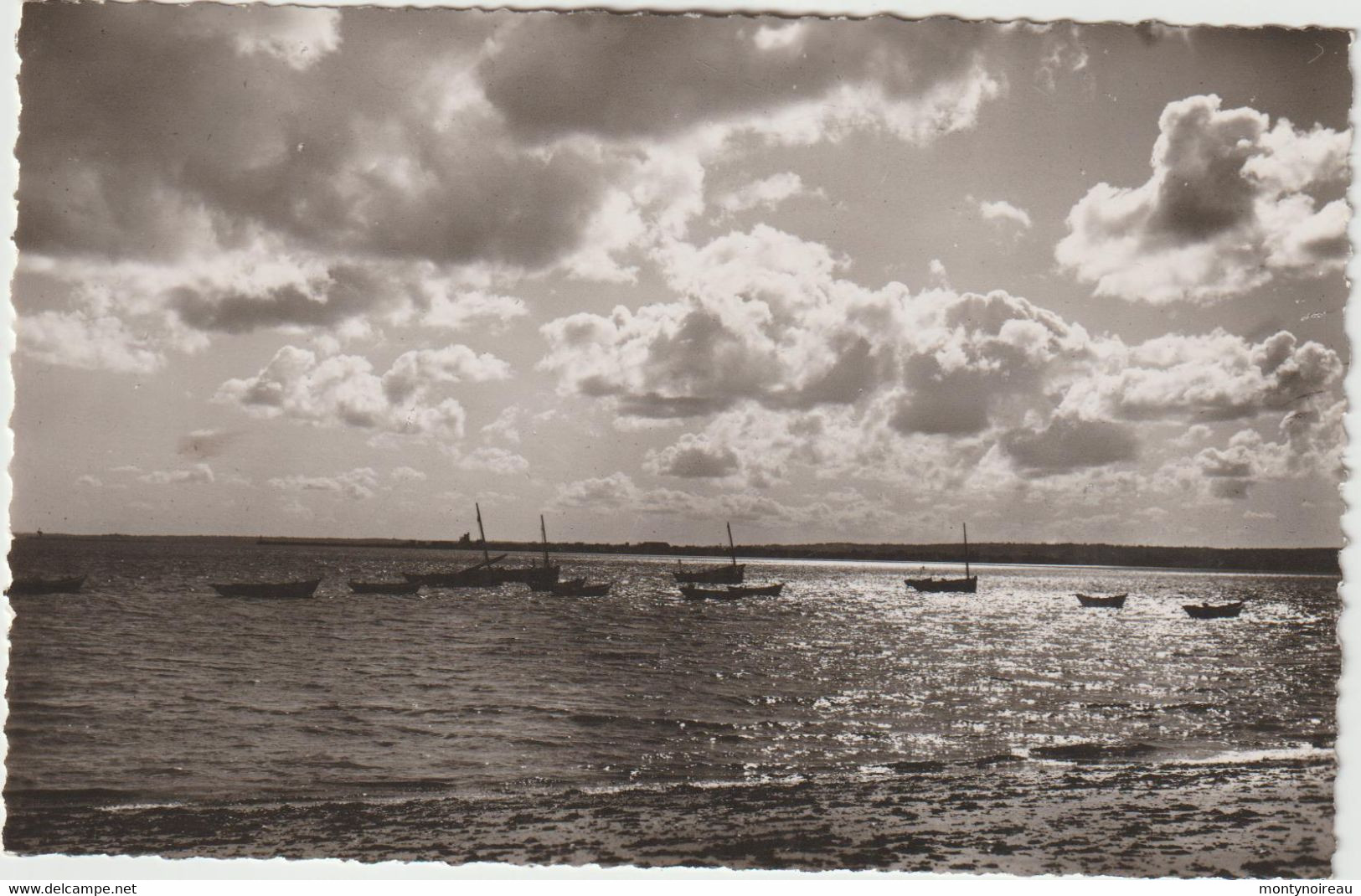 Manche : SAINT VAAST  La  HOUGUE : Reville , Le Port à Contre  Jour - Saint Vaast La Hougue