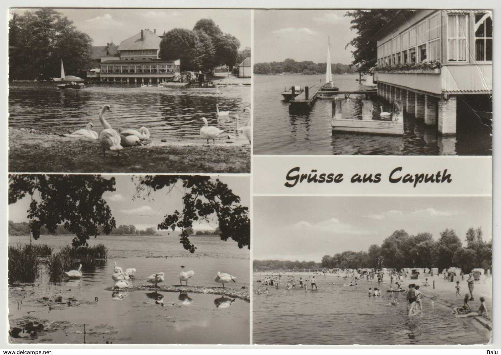 MBK SW Grüsse Aus Caputh Kr. Potsdam 1983, Gaststätte Fährhaus Seebad, Postalisch Gelaufen, 2 Scans - Caputh