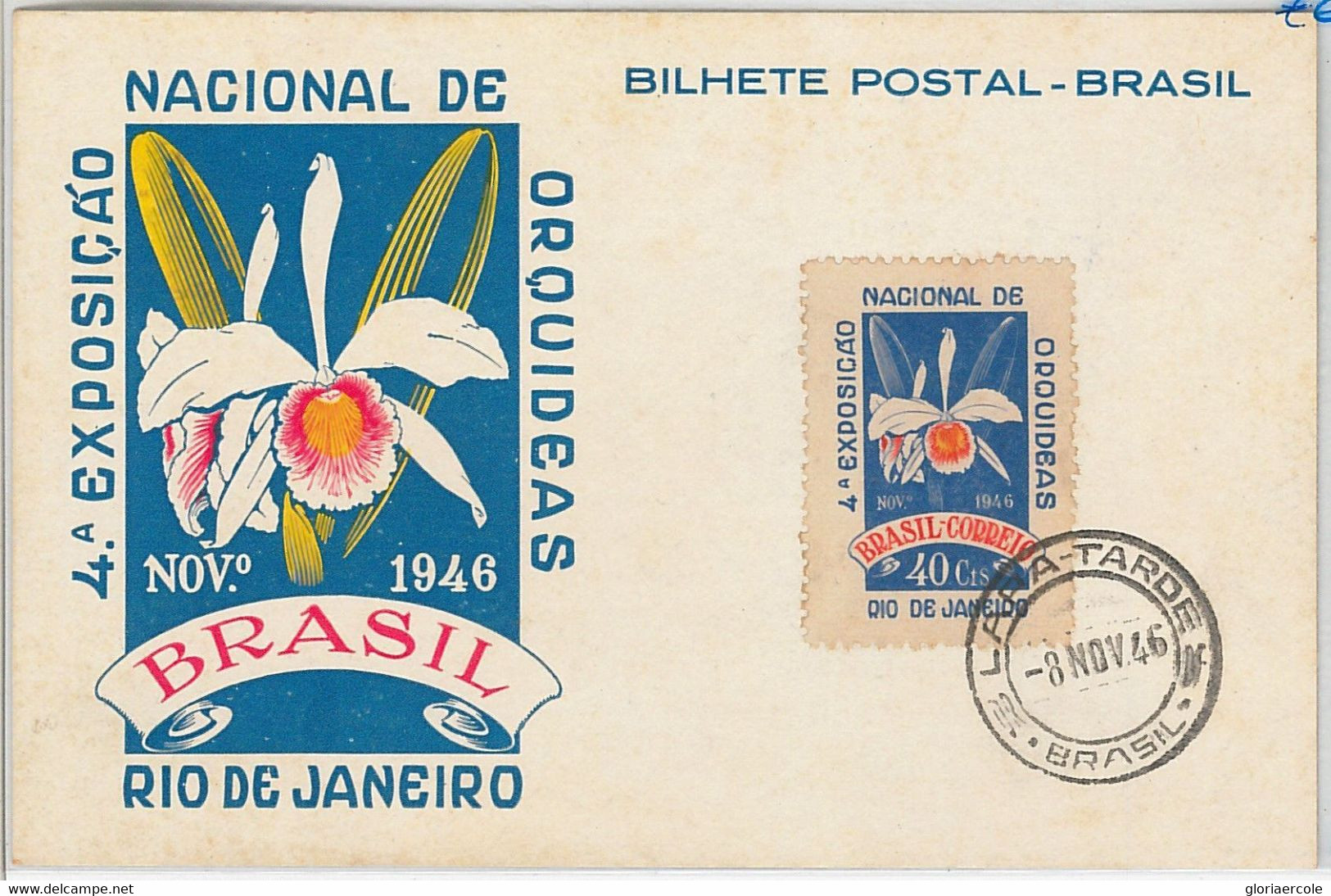 48238 - BRAZIL - Postal History - MAXIMUM CARD - FLOWERS: ORCHIDS  1946 - Maximumkaarten