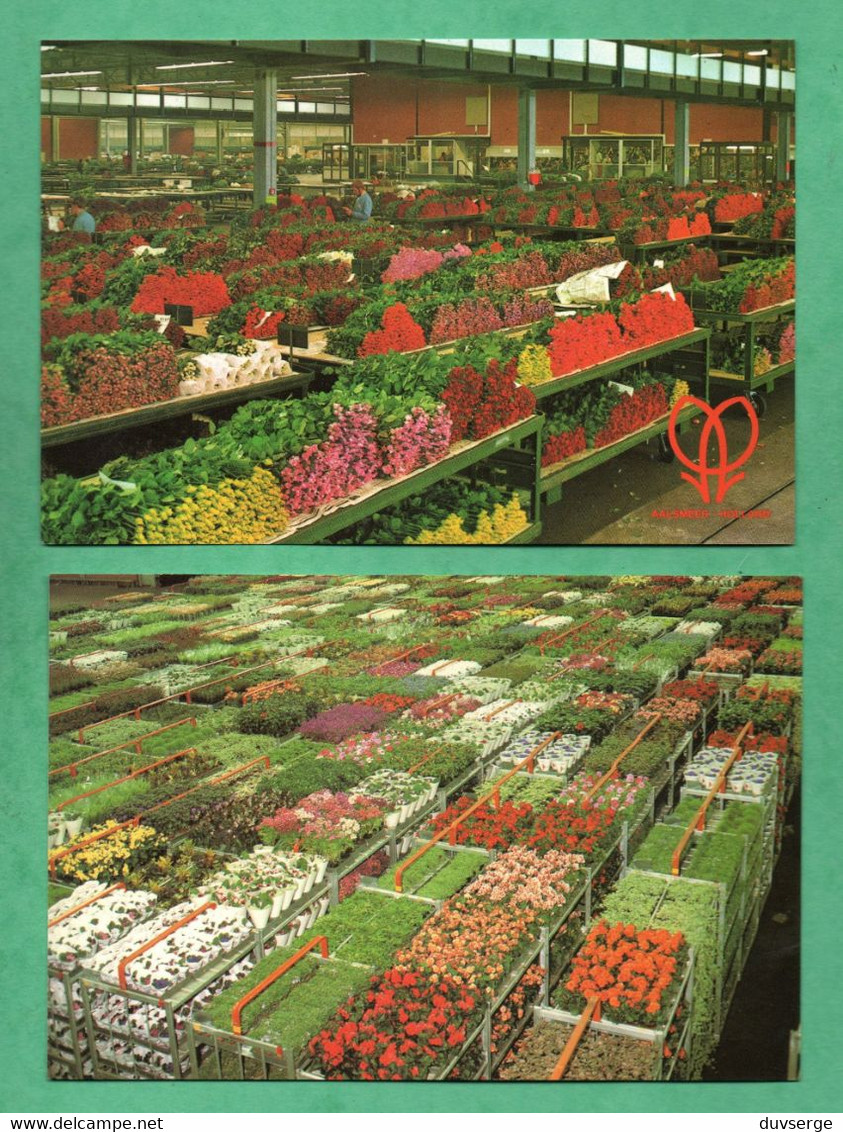 Aalsmeer World Flower Center 4 Cartes Postales 4 Post Cards ( Voir 4 Scans ) - Aalsmeer